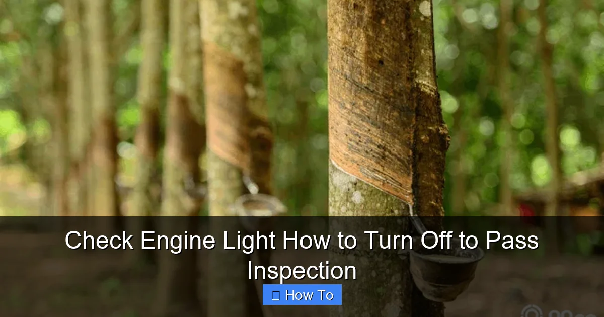 Check Engine Light How to Turn Off to Pass Inspection
