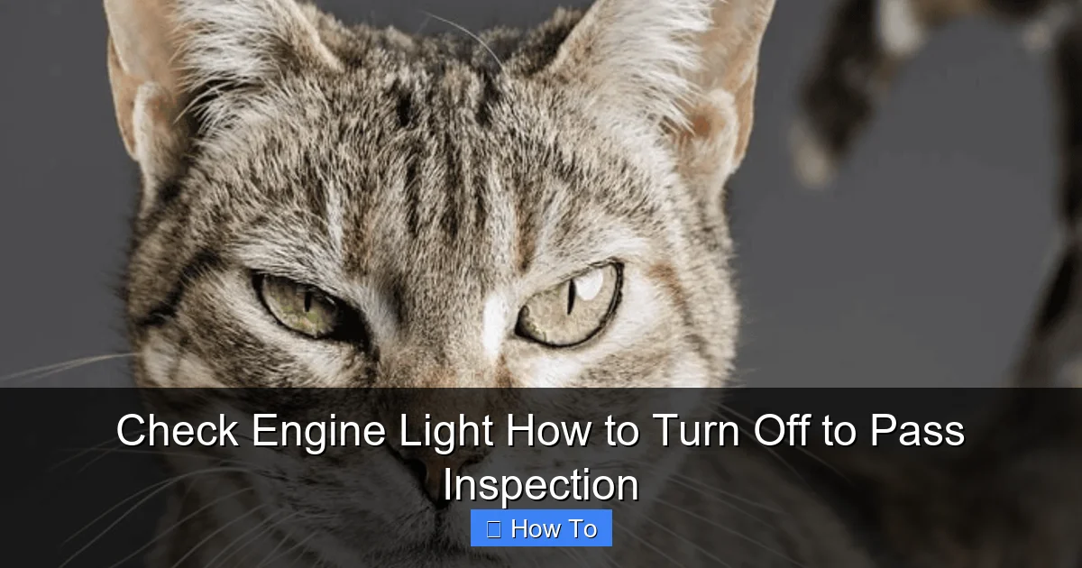 Check Engine Light How to Turn Off to Pass Inspection