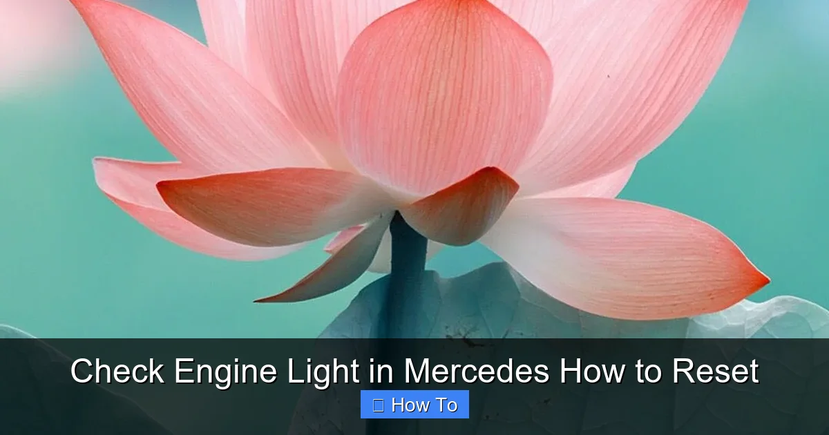 Check Engine Light in Mercedes How to Reset