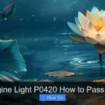 Check Engine Light P0420 How to Pass Inspection