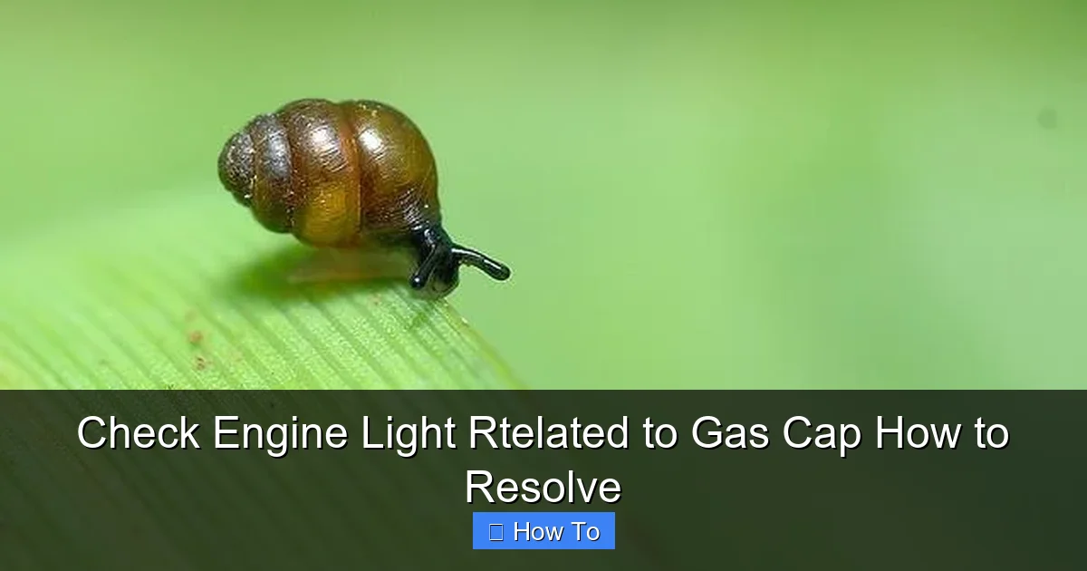 Check Engine Light Rtelated to Gas Cap How to Resolve
