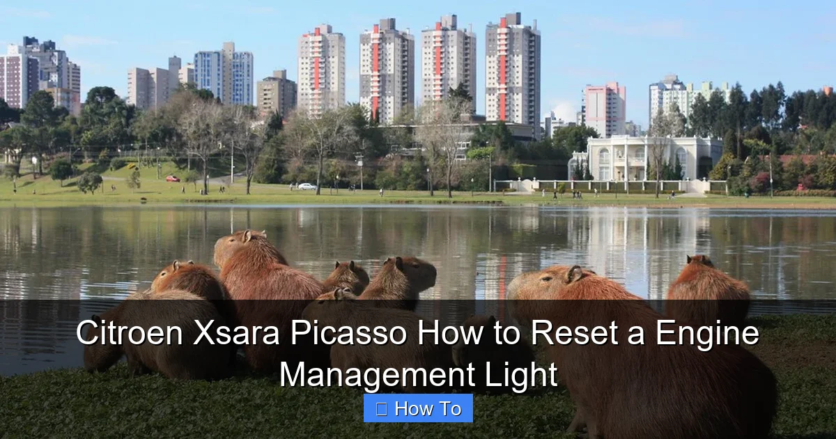 Citroen Xsara Picasso How to Reset a Engine Management Light
