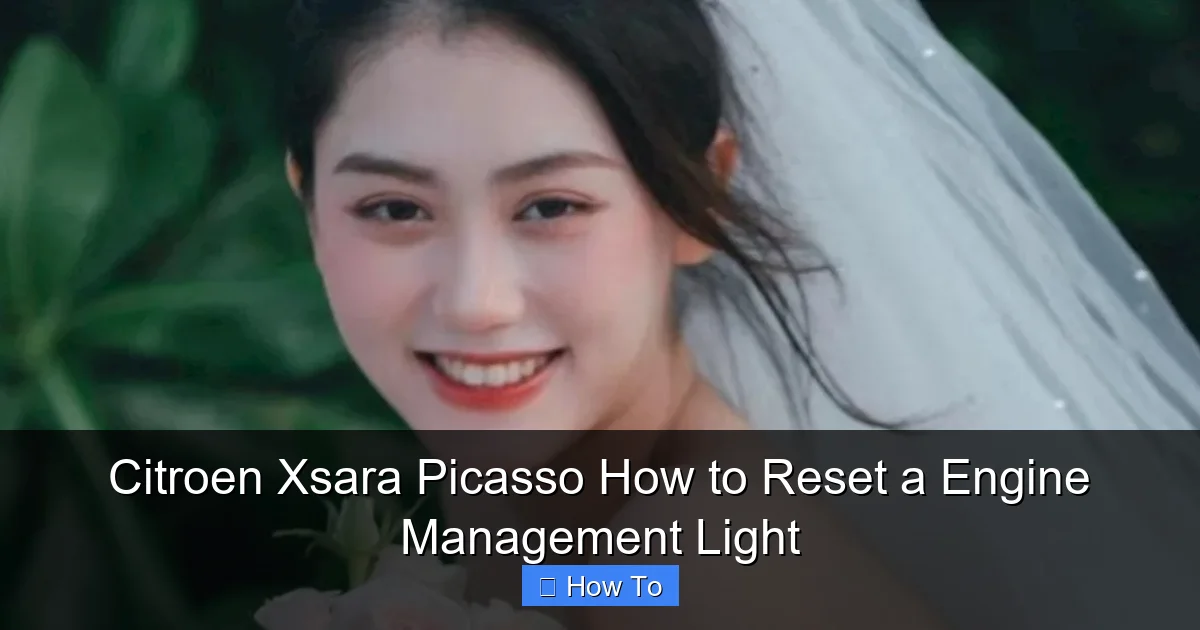 Citroen Xsara Picasso How to Reset a Engine Management Light