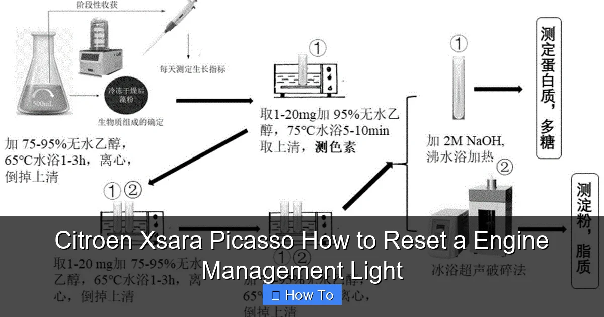 Citroen Xsara Picasso How to Reset a Engine Management Light