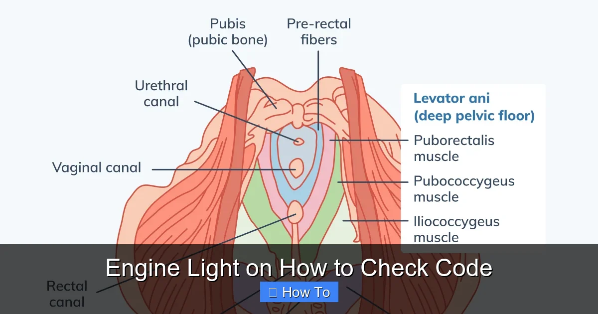 Engine Light on How to Check Code