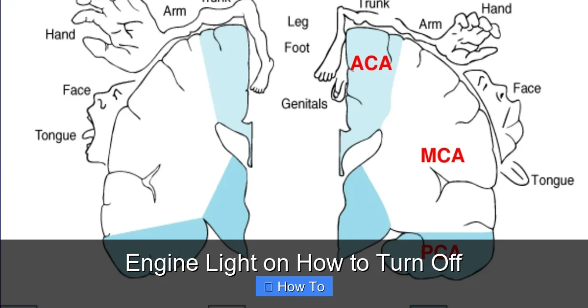 Engine Light on How to Turn Off