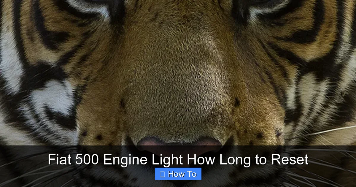 Fiat 500 Engine Light How Long to Reset