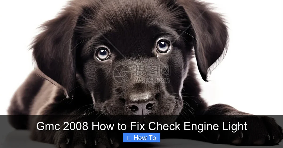 Gmc 2008 How to Fix Check Engine Light