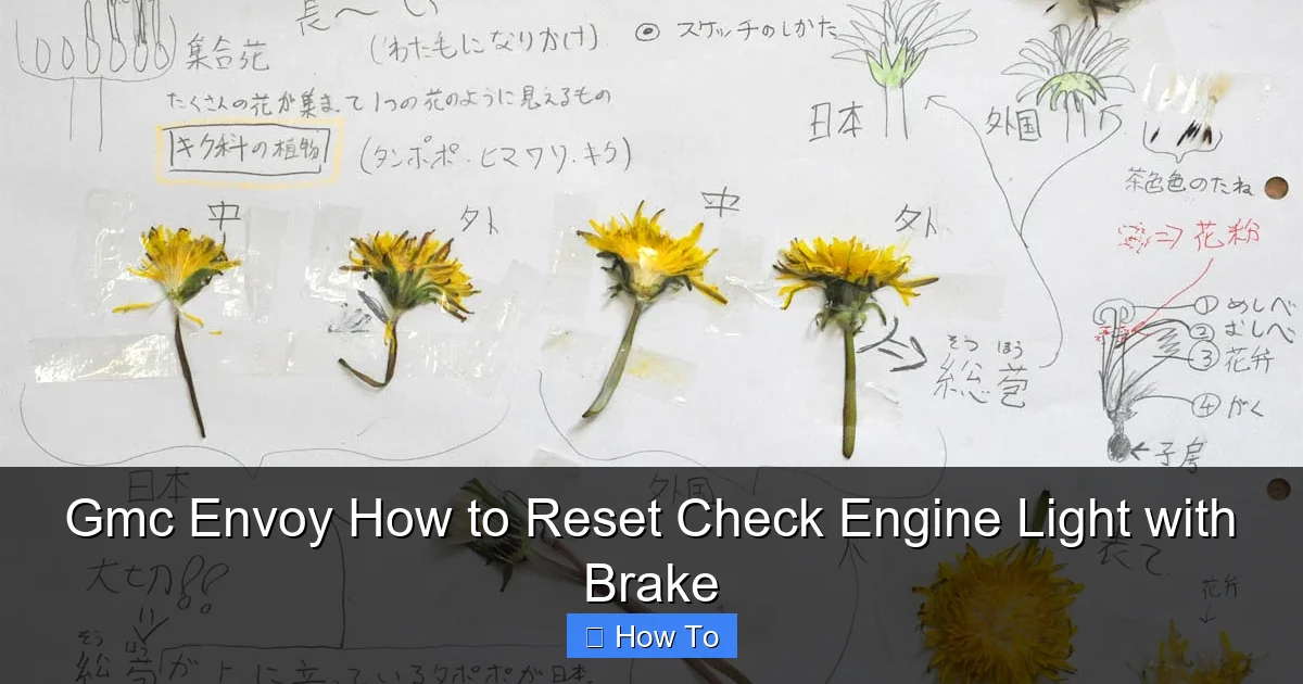 Gmc Envoy How to Reset Check Engine Light with Brake