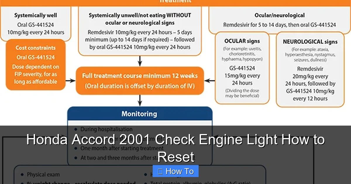 Honda Accord 2001 Check Engine Light How to Reset