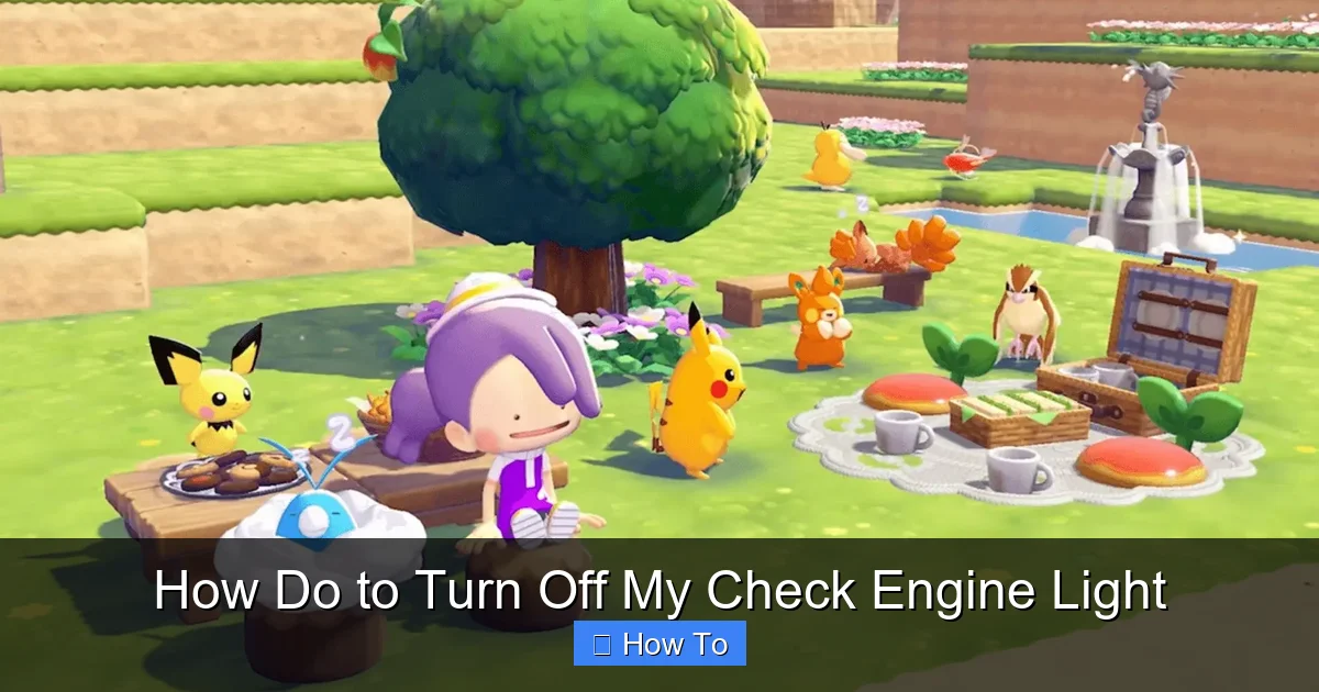 How Do to Turn Off My Check Engine Light