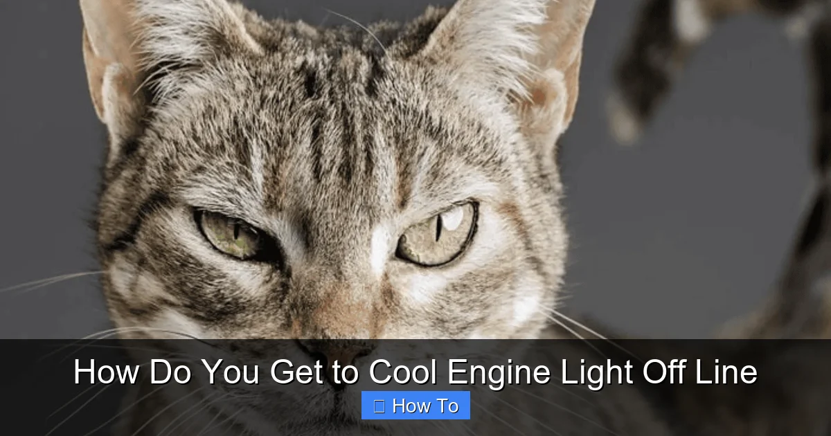 How Do You Get to Cool Engine Light Off Line