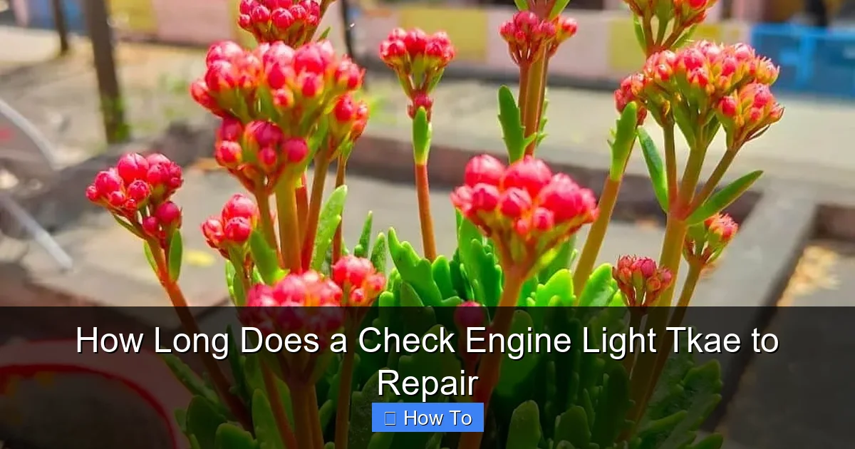 How Long Does a Check Engine Light Tkae to Repair