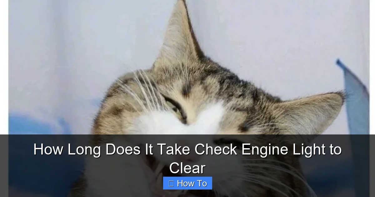 How Long Does It Take Check Engine Light to Clear
