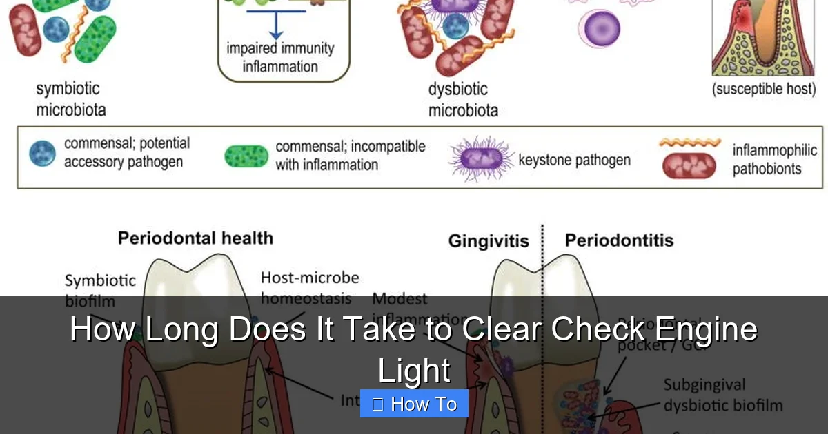 How Long Does It Take to Clear Check Engine Light