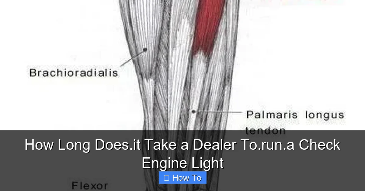 How Long Does.it Take a Dealer To.run.a Check Engine Light