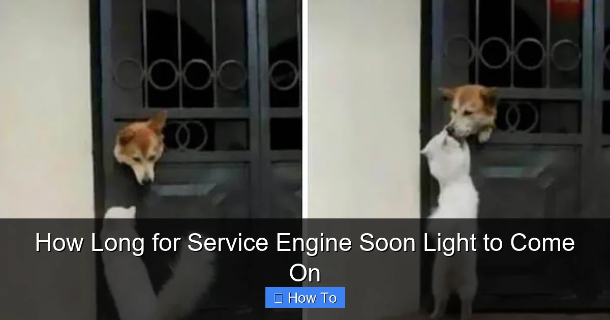 How Long for Service Engine Soon Light to Come On
