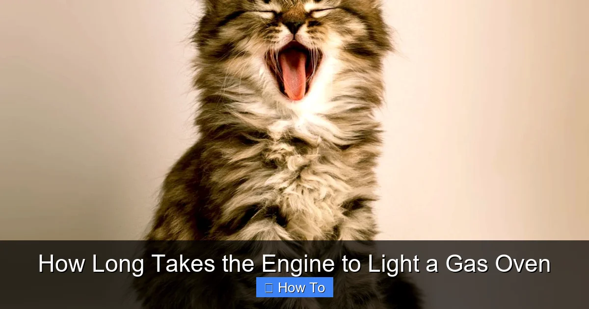 How Long Takes the Engine to Light a Gas Oven