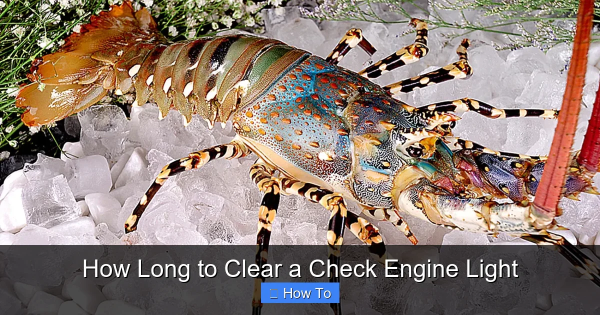 How Long to Clear a Check Engine Light