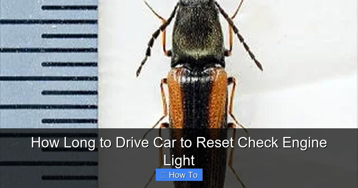 How Long to Drive Car to Reset Check Engine Light