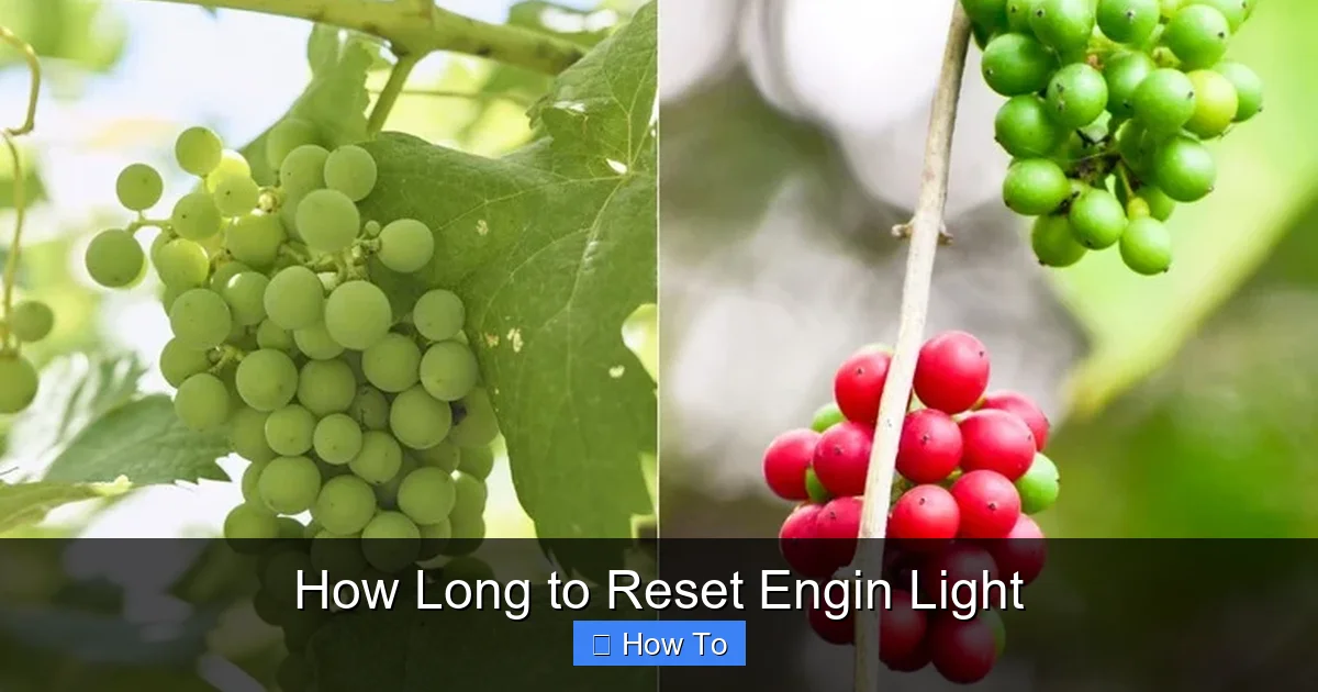 How Long to Reset Engin Light