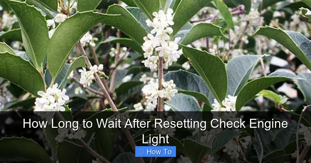 How Long to Wait After Resetting Check Engine Light