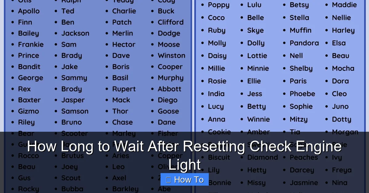 How Long to Wait After Resetting Check Engine Light