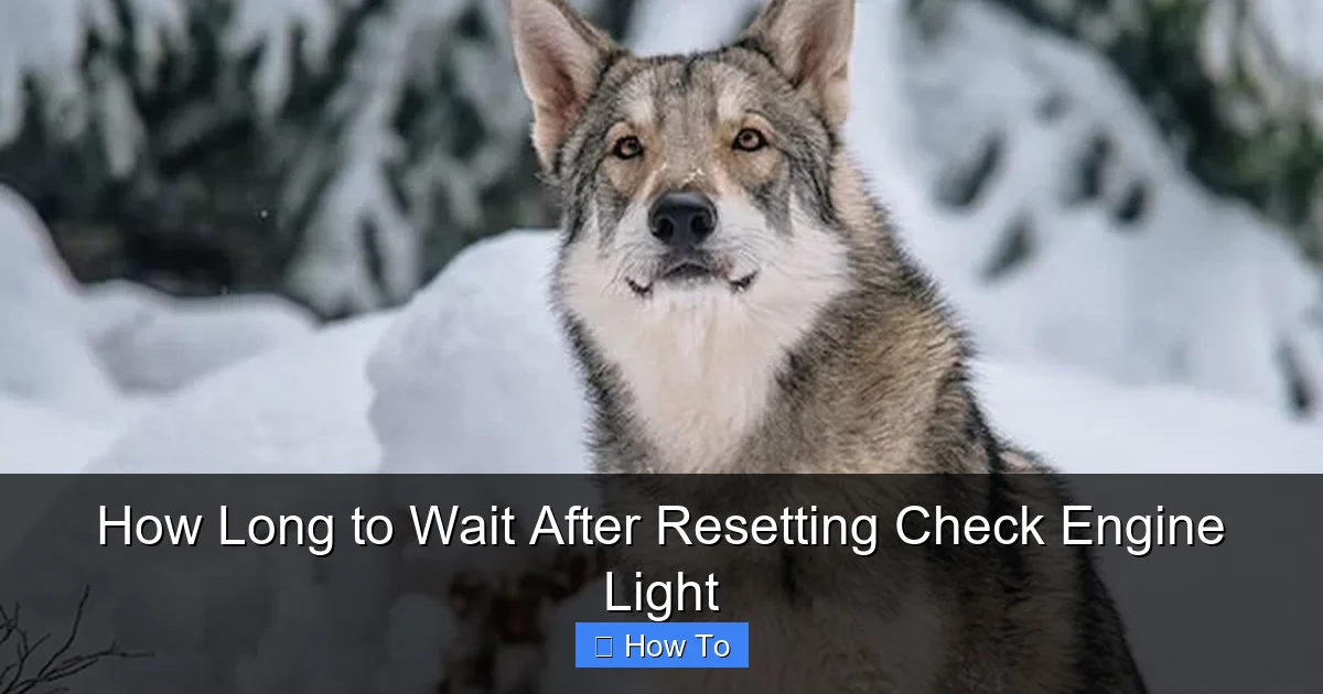 How Long to Wait After Resetting Check Engine Light