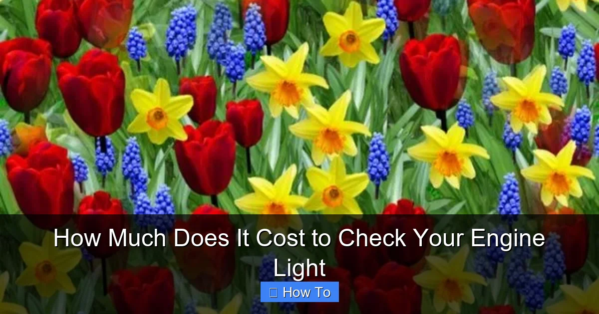 How Much Does It Cost to Check Your Engine Light
