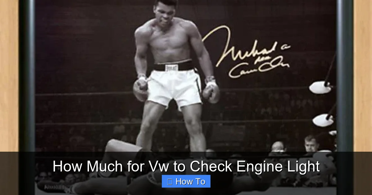 How Much for Vw to Check Engine Light