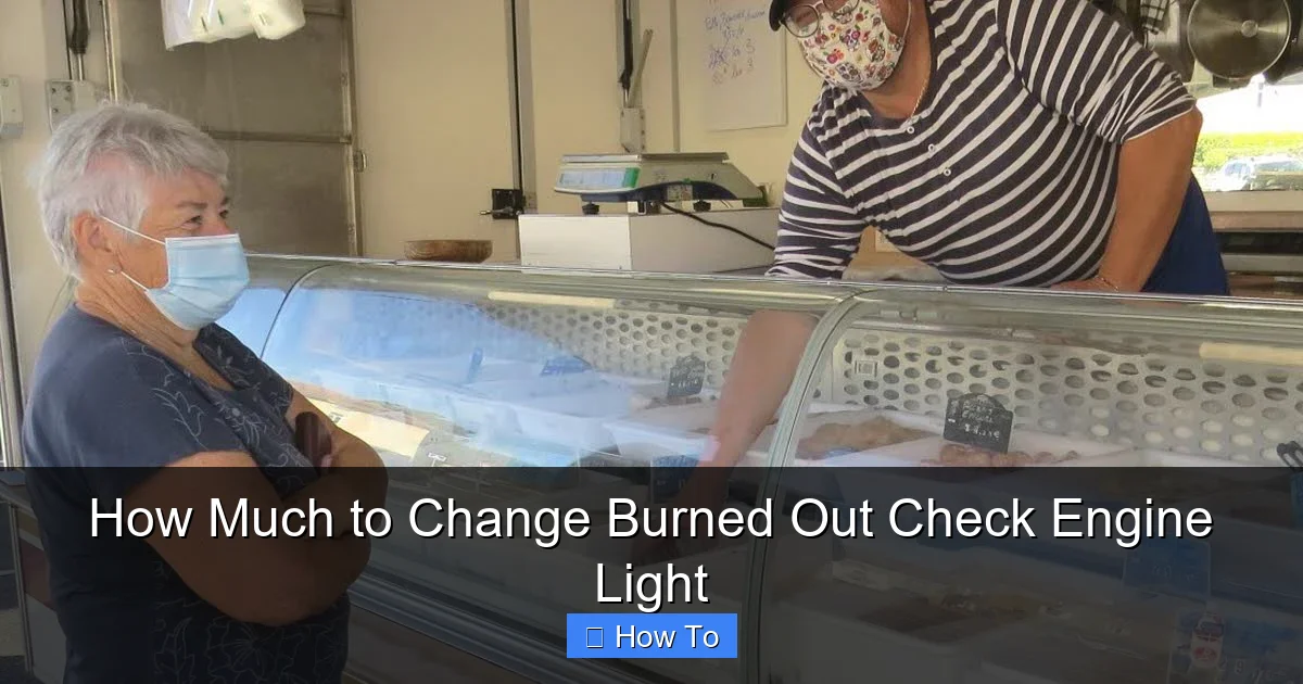 How Much to Change Burned Out Check Engine Light