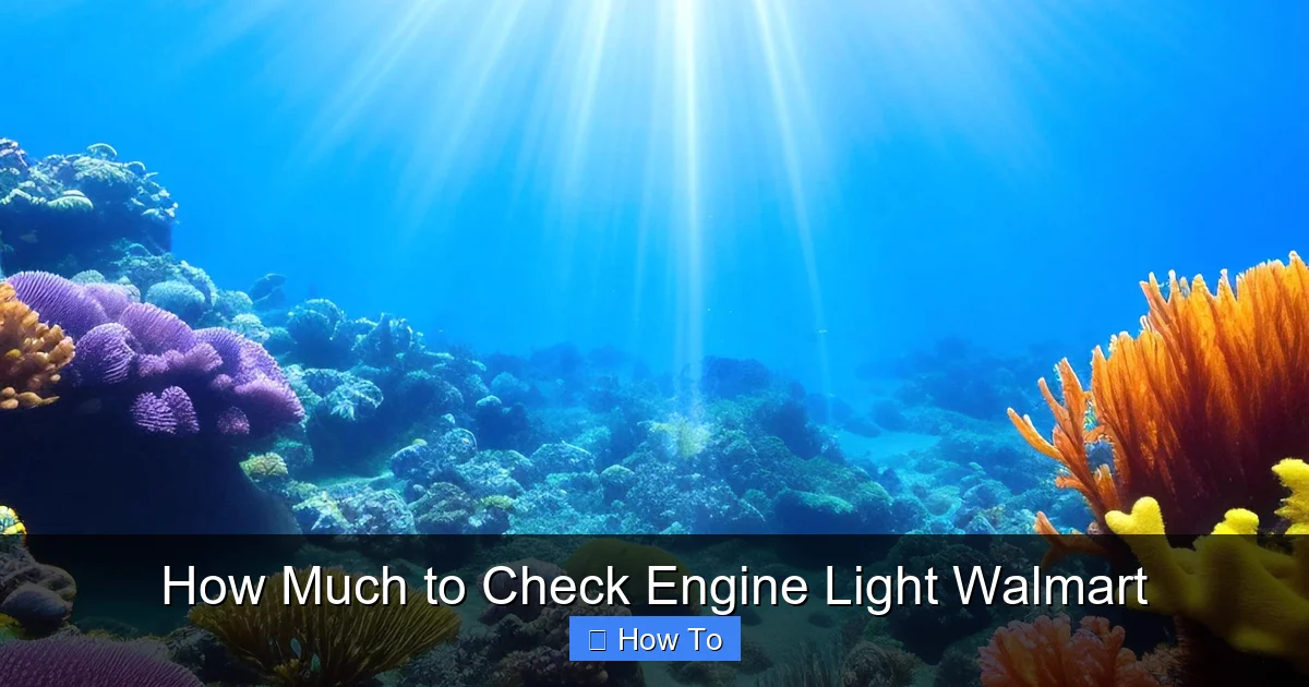 How Much to Check Engine Light Walmart