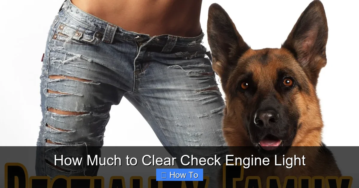 How Much to Clear Check Engine Light