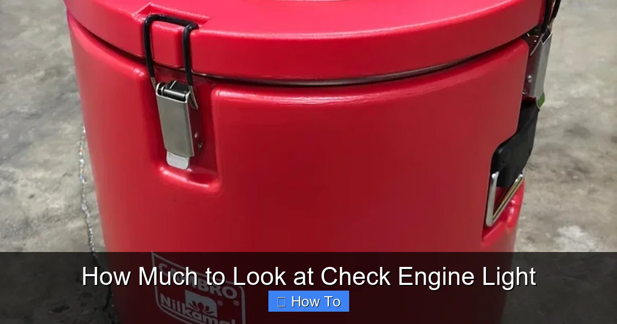 How Much to Look at Check Engine Light