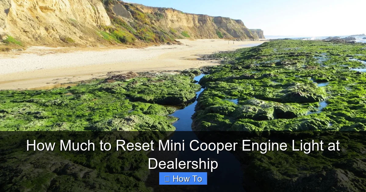 How Much to Reset Mini Cooper Engine Light at Dealership