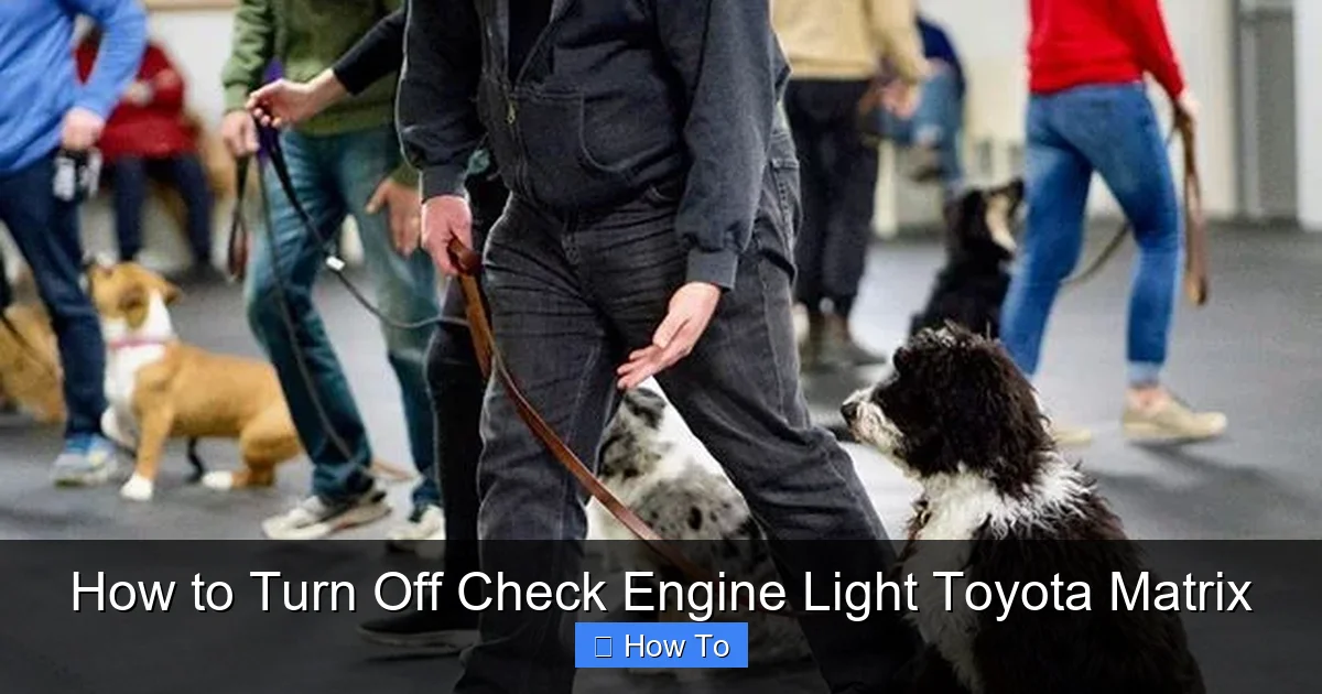 How to Turn Off Check Engine Light Toyota Matrix