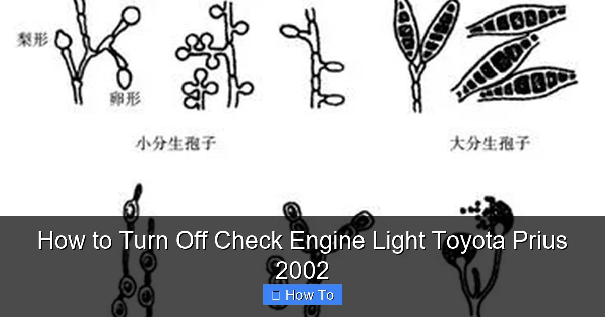 How to Turn Off Check Engine Light Toyota Prius 2002
