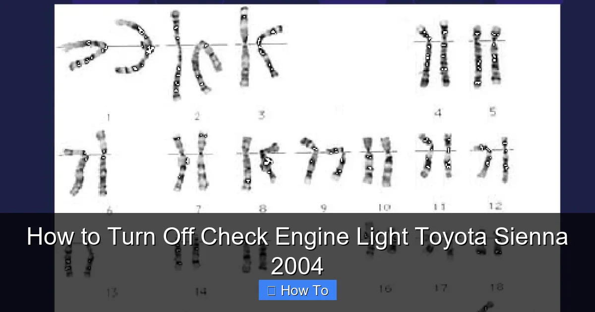 How to Turn Off Check Engine Light Toyota Sienna 2004