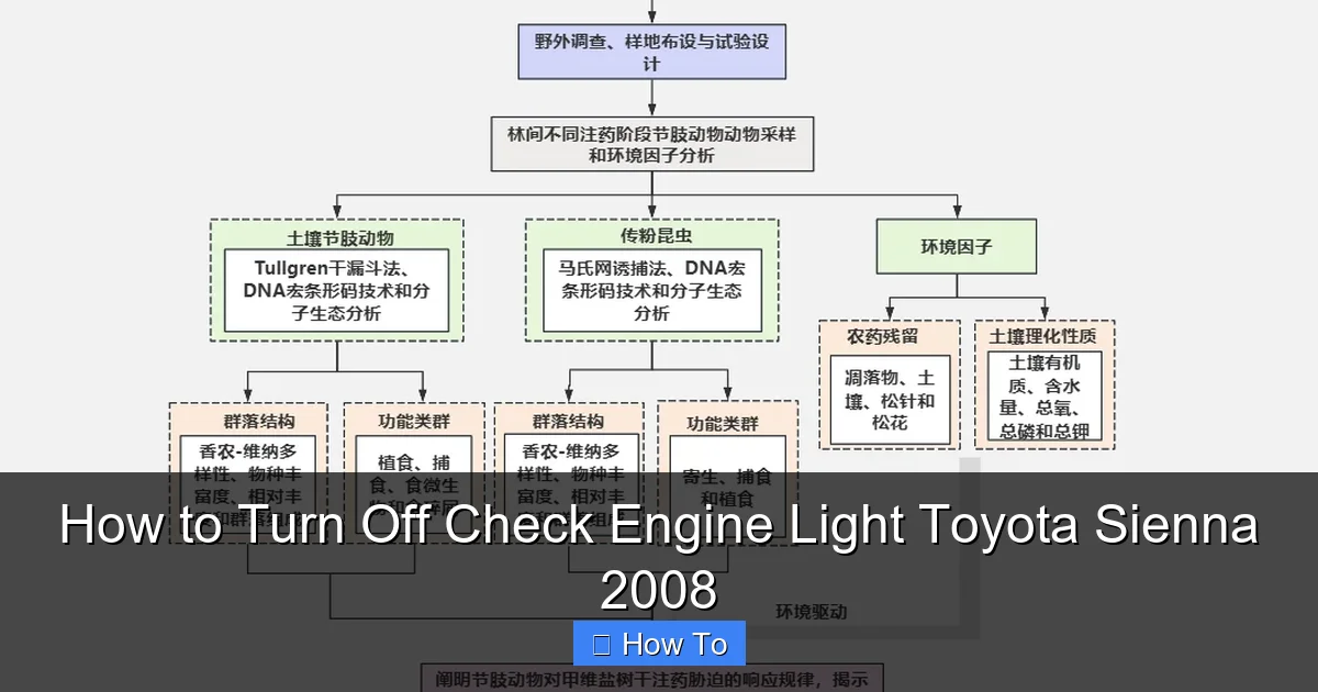 How to Turn Off Check Engine Light Toyota Sienna 2008