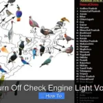 How to Turn Off Check Engine Light Volkswagen