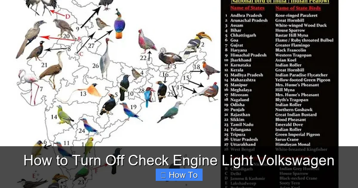 How to Turn Off Check Engine Light Volkswagen