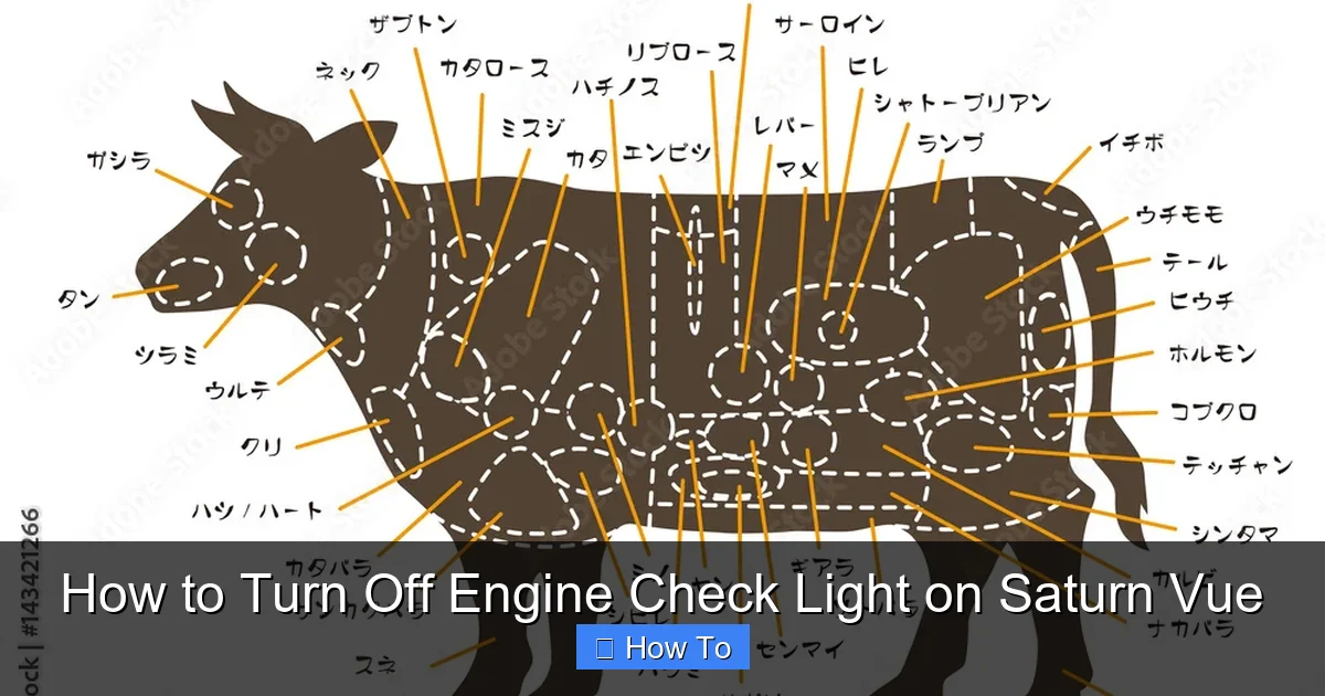 How to Turn Off Engine Check Light on Saturn Vue