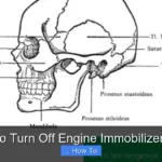 How to Turn Off Engine Immobilizer Light