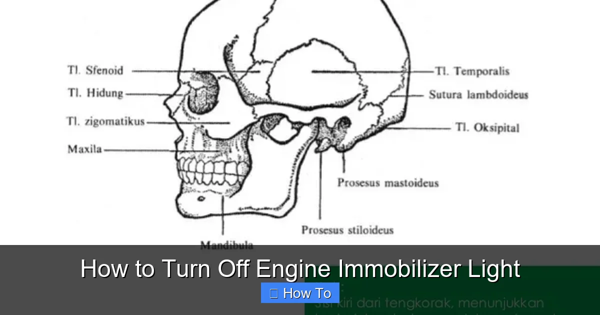 How to Turn Off Engine Immobilizer Light