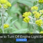 How to Turn Off Engine Light Bmw