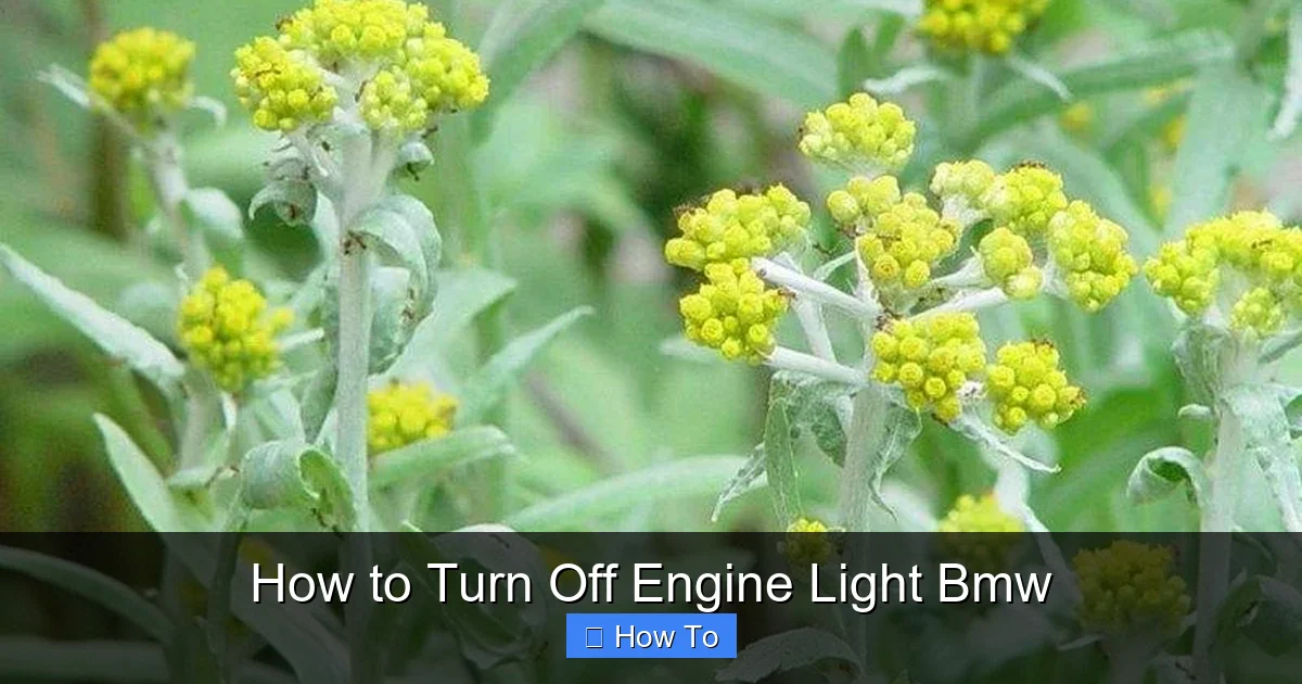 How to Turn Off Engine Light Bmw