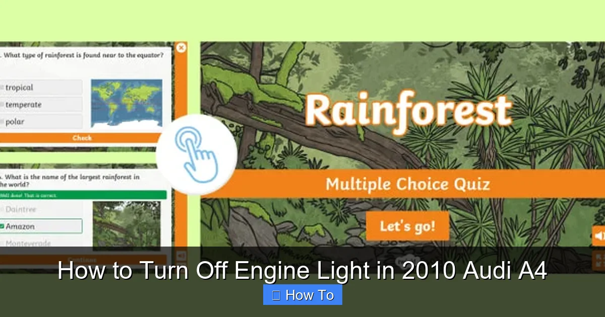 How to Turn Off Engine Light in 2010 Audi A4