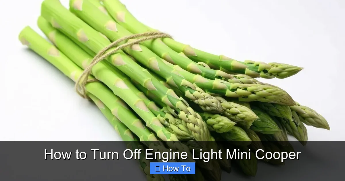 How to Turn Off Engine Light Mini Cooper