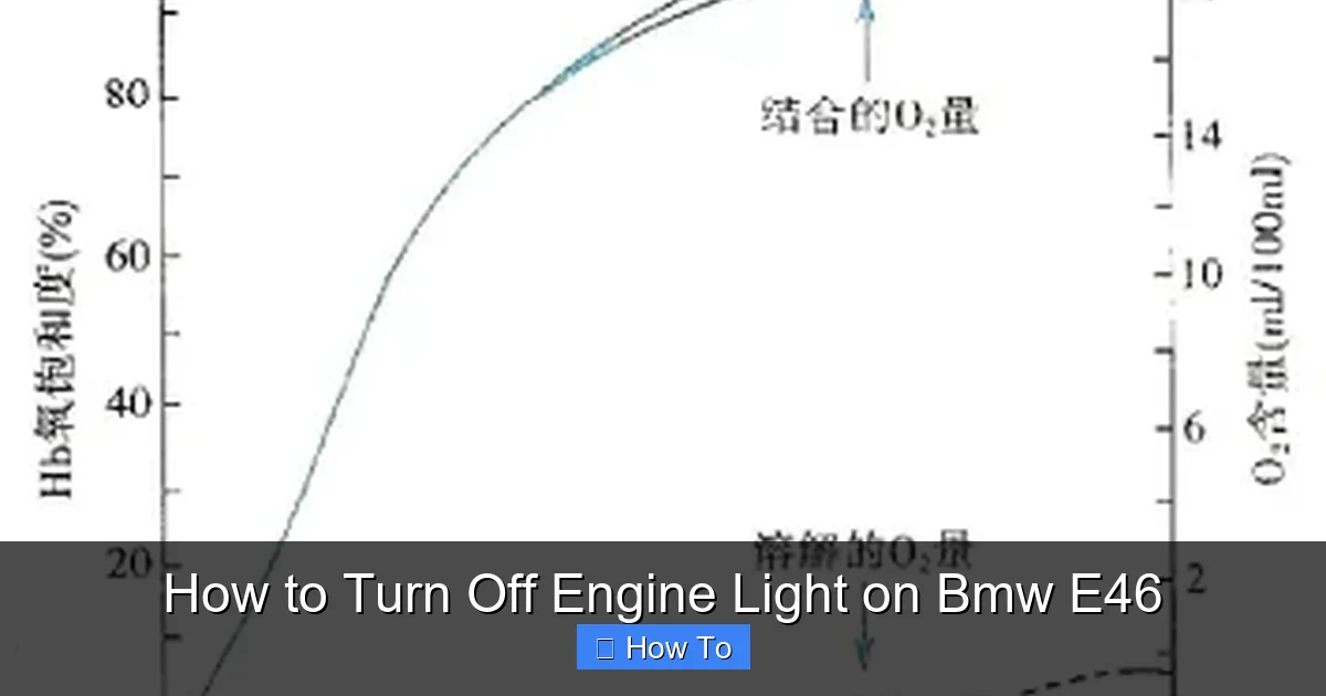 How to Turn Off Engine Light on Bmw E46