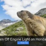 How to Turn Off Engine Light on Honda Crv 1999
